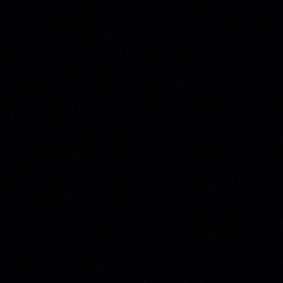 Meet your Posher, Charli - Picture 1 of 1